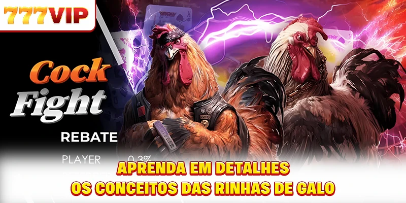 Aprenda em detalhes os conceitos das rinhas de galo Aprenda em detalhes os conceitos das rinhas de galo