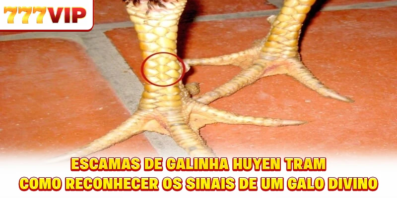 Estratégia de seleção de números ao participar da loteria OK Northern Estratégia de seleção de números ao participar da loteria OK Northern