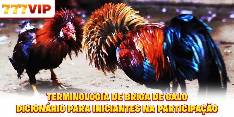 Terminologia de Briga de Galo – Dicionário para Iniciantes na Participação