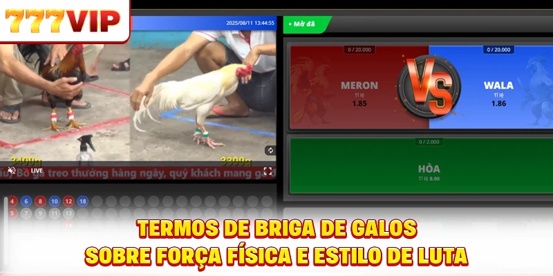 Termos de briga de galos sobre força física e estilo de luta Termos de briga de galos sobre força física e estilo de luta