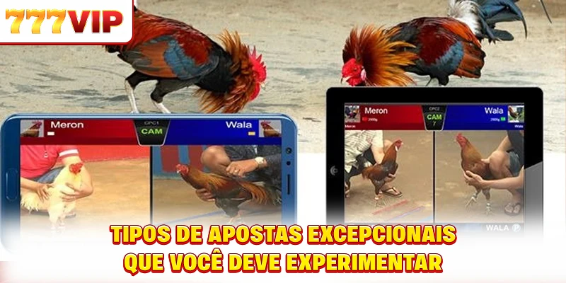 Tipos de apostas excepcionais que você deve experimentar Tipos de apostas excepcionais que você deve experimentar