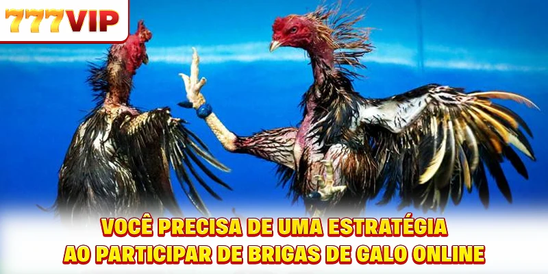 Você precisa de uma estratégia ao participar de brigas de galo online